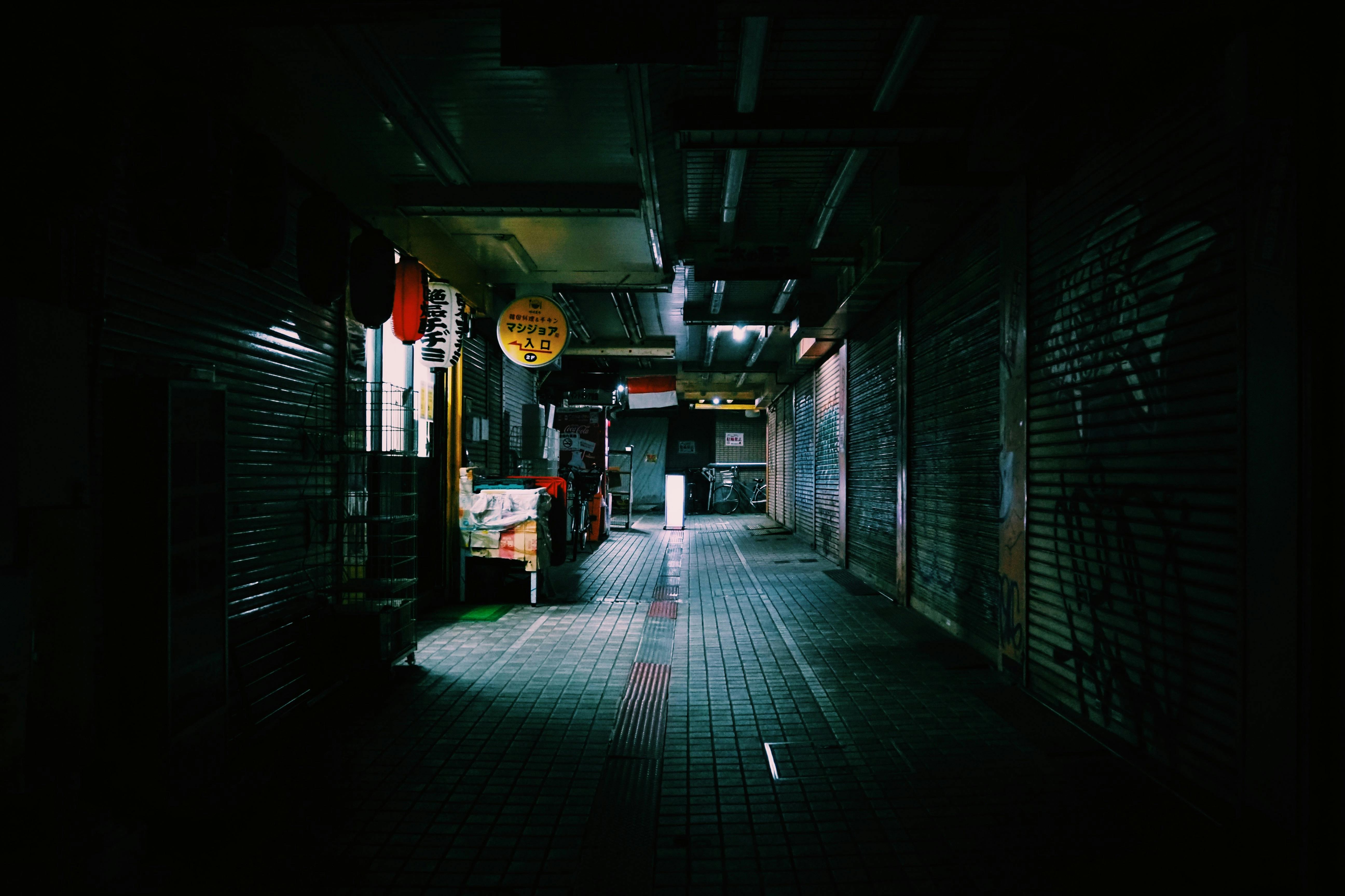 A dark, deserted alley in Tokyo with shop shutters closed, creating an eerie urban atmosphere.