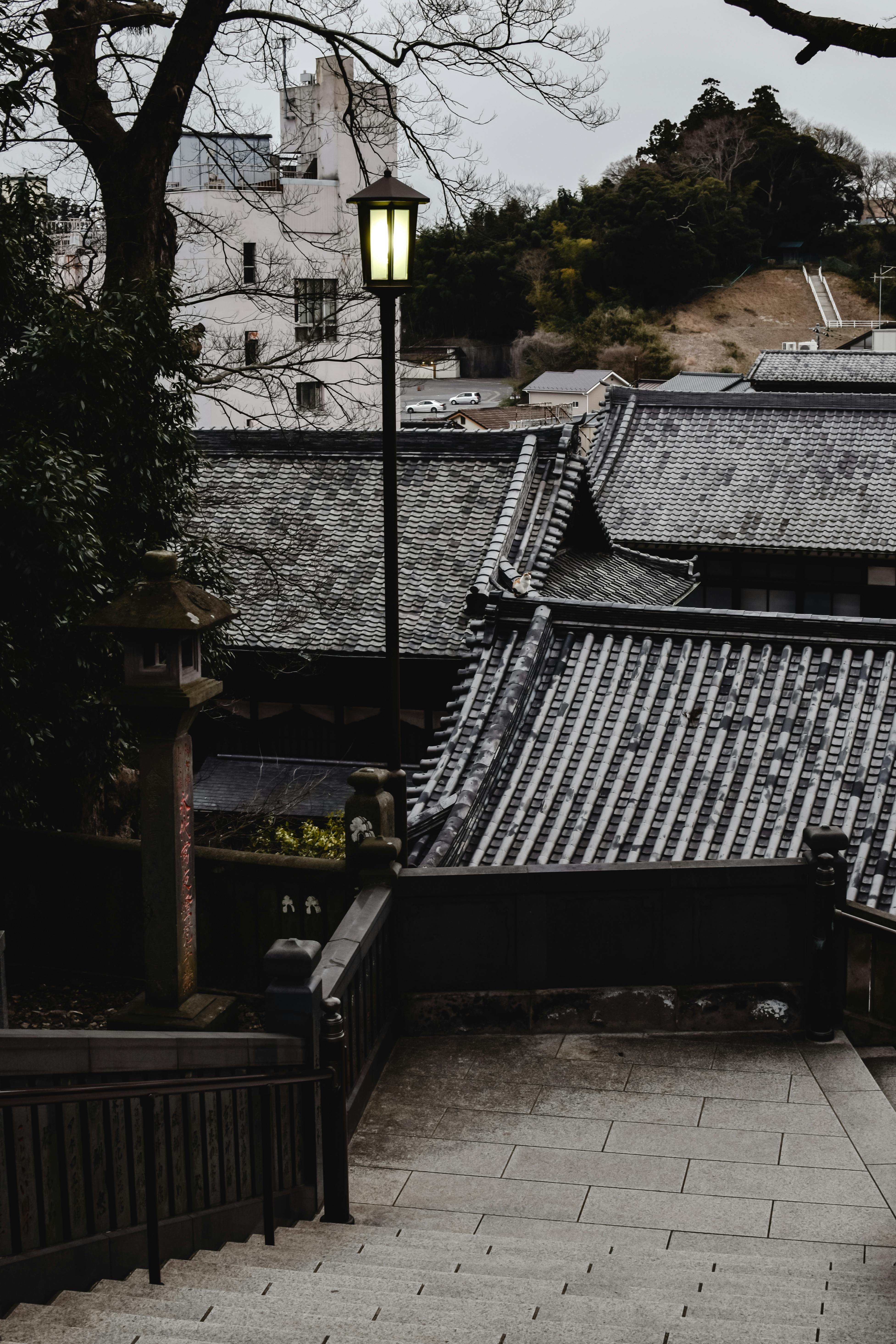 View of traditional Japanese roofs and steps in Narita, Japan.