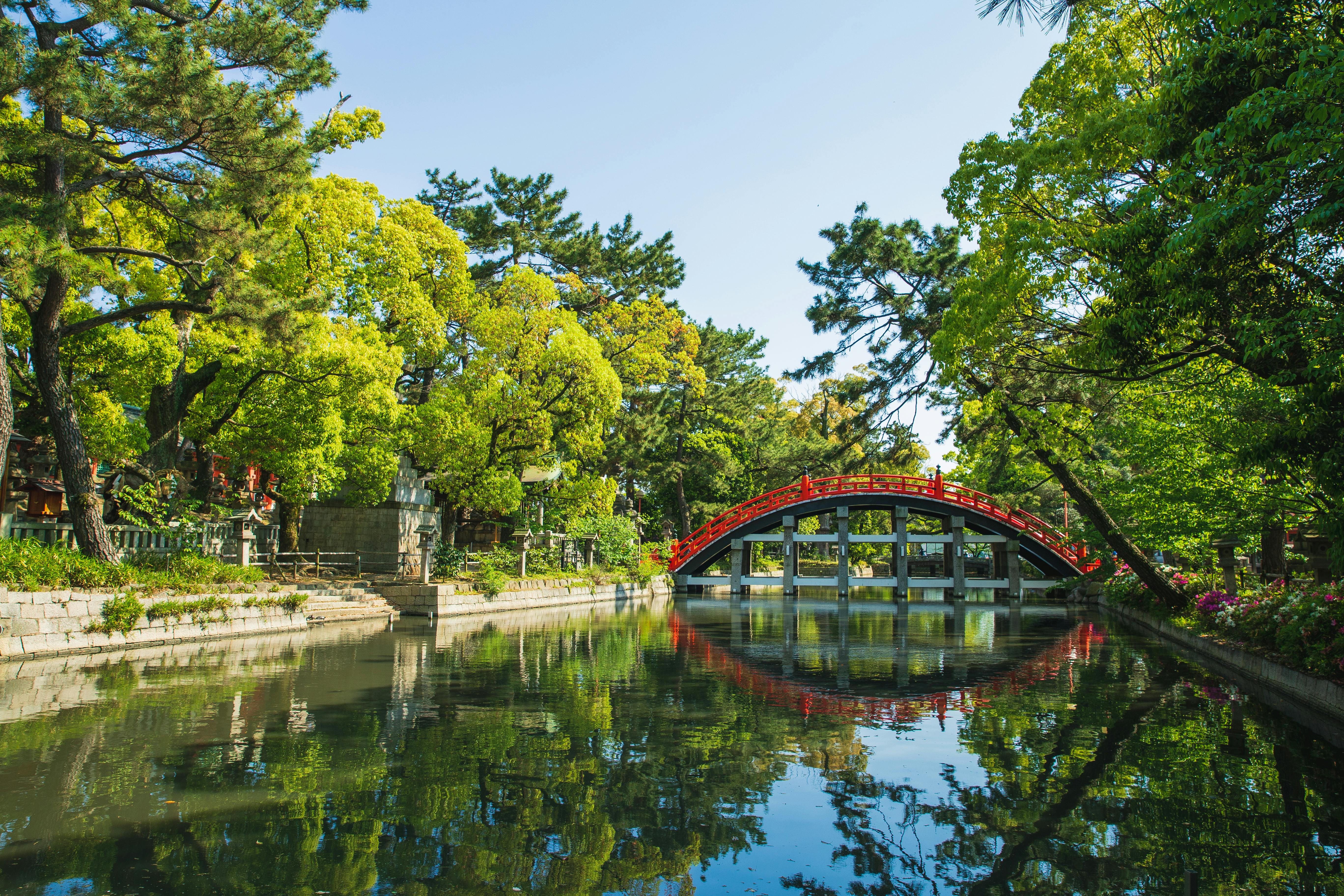 Picturesque view of green Sumiyoshi Grand Shrine temple territory in Osaka, Japan, on a summer sunny day.