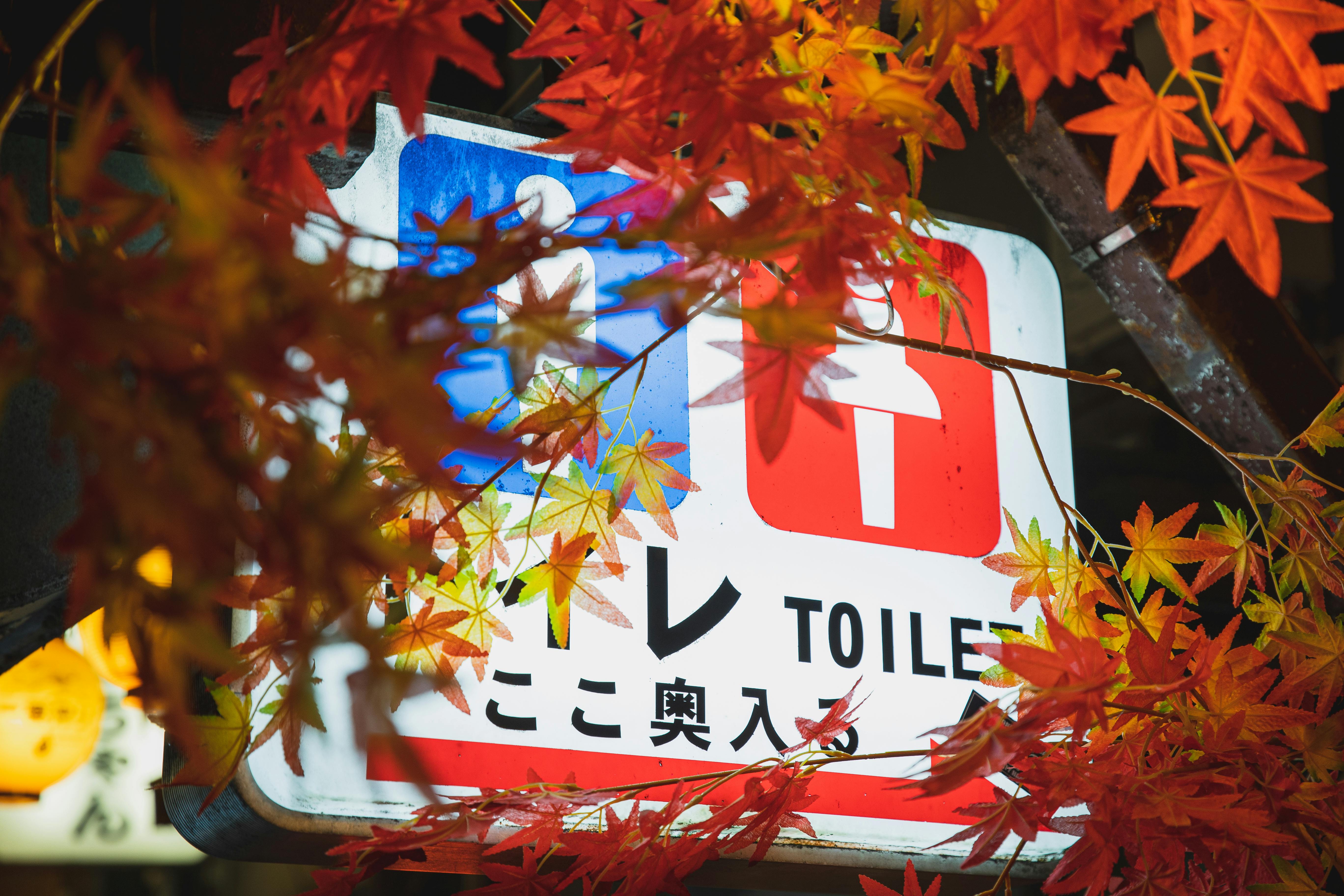 Image of a brightly lit waiting area near Shinkansen bullet trains at night