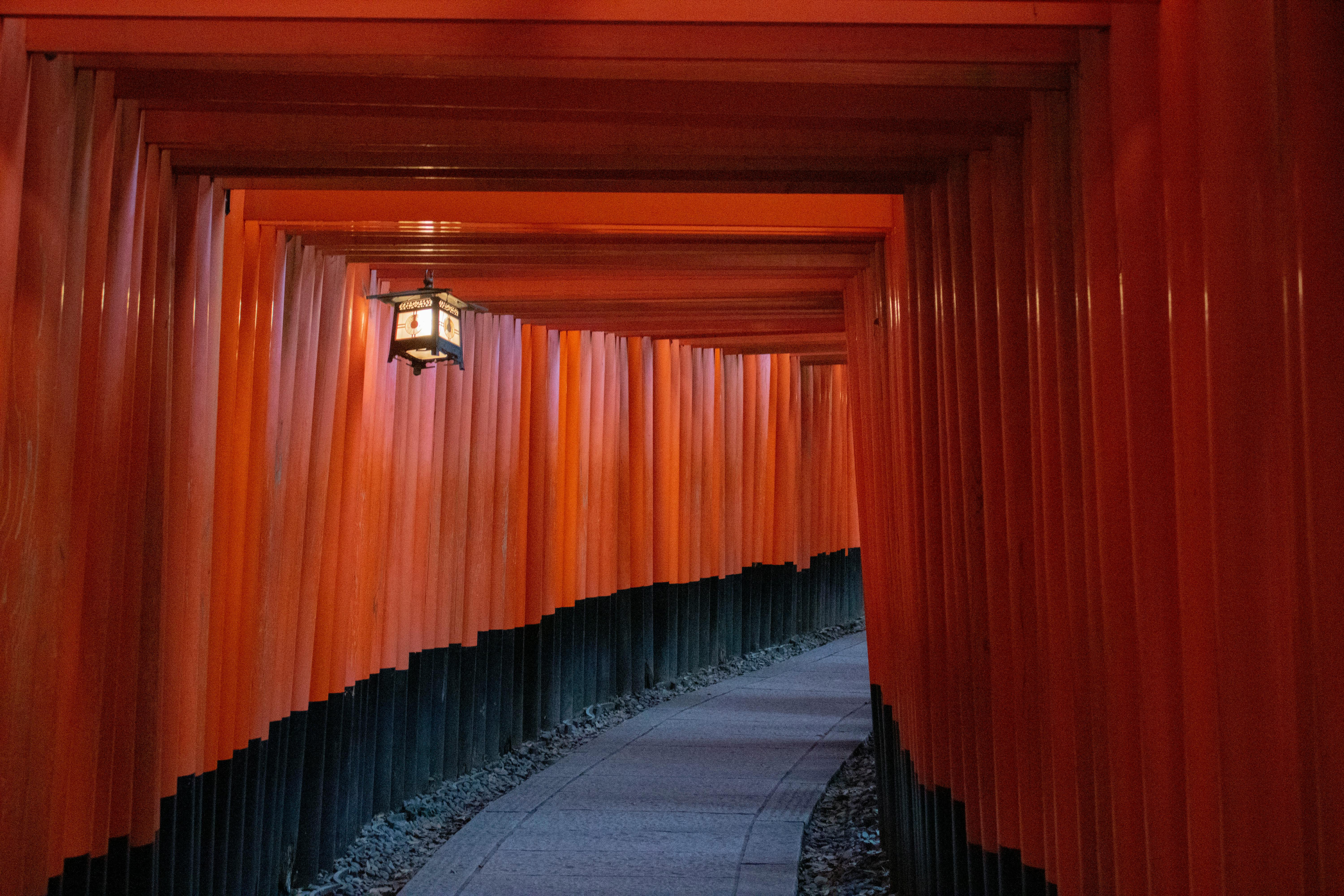 Explore the iconic torii gates pathway at Fushimi Inari Shrine, Kyoto, Japan.